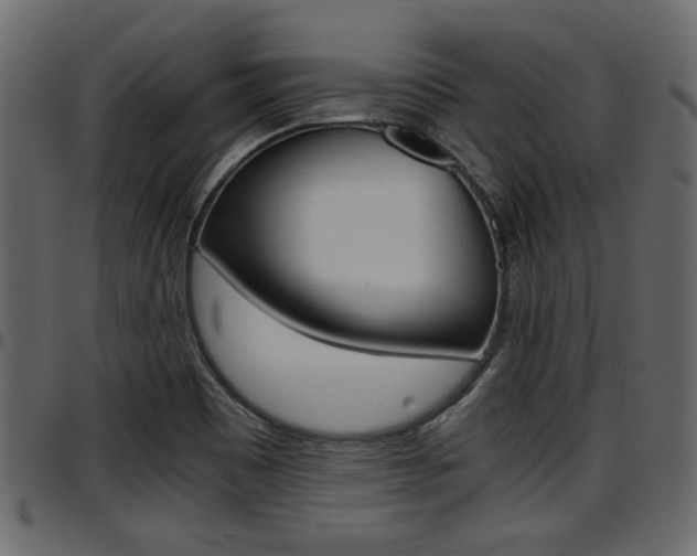 X0000097601465200802290720