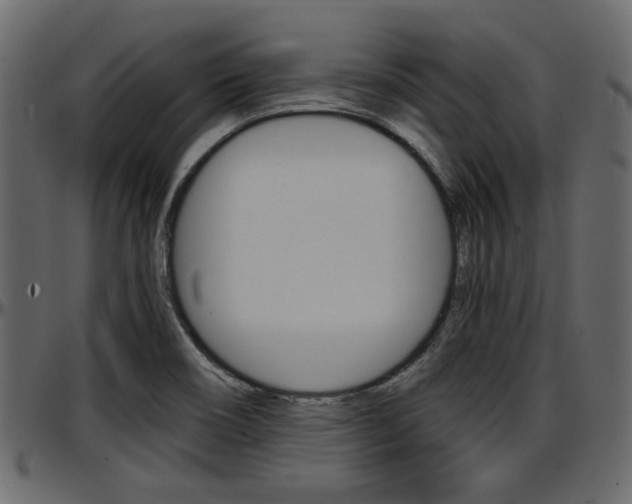 X0000097601466200802290720
