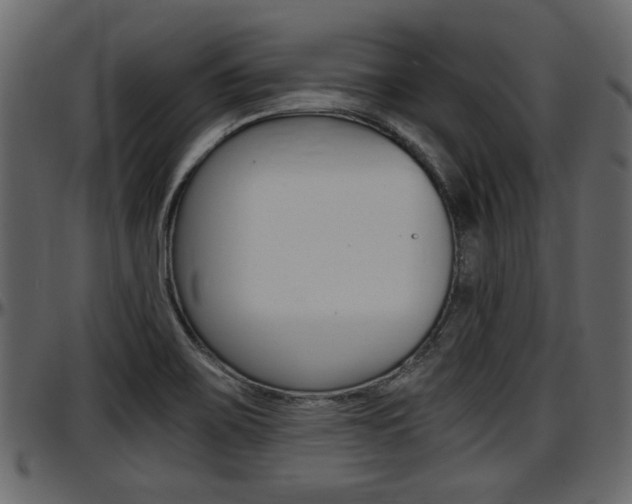 X0000097601467200802290720