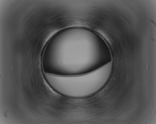 X0000097601468200802290720