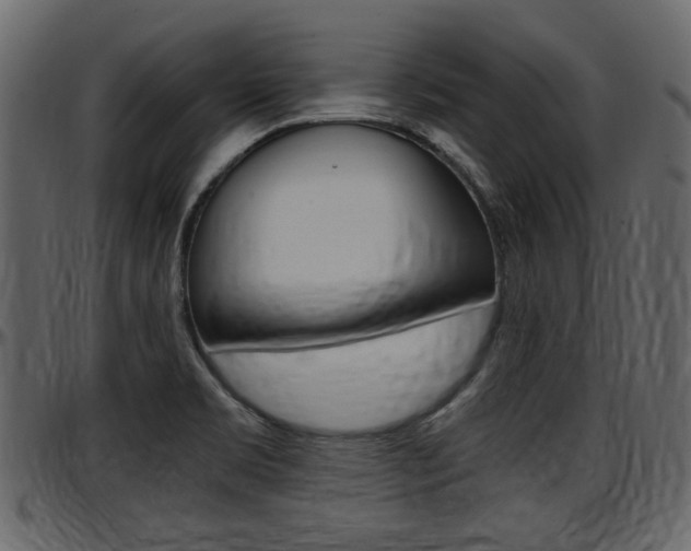 X0000097601469200802290720