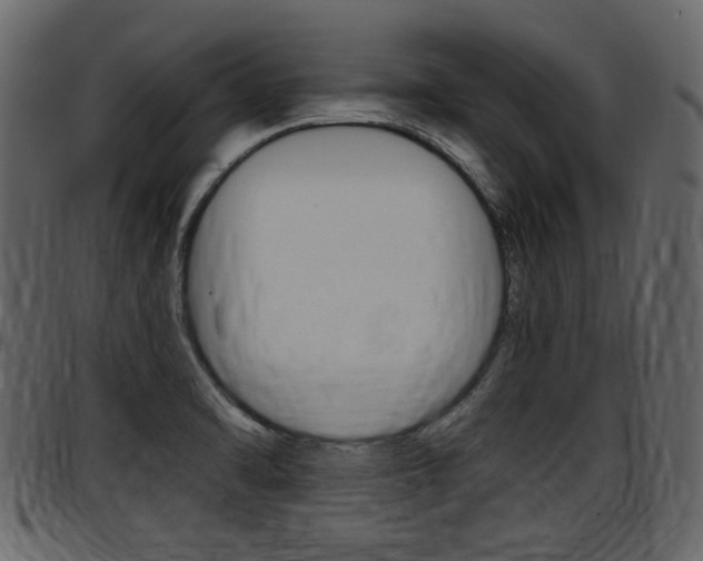 X0000097601470200802290720
