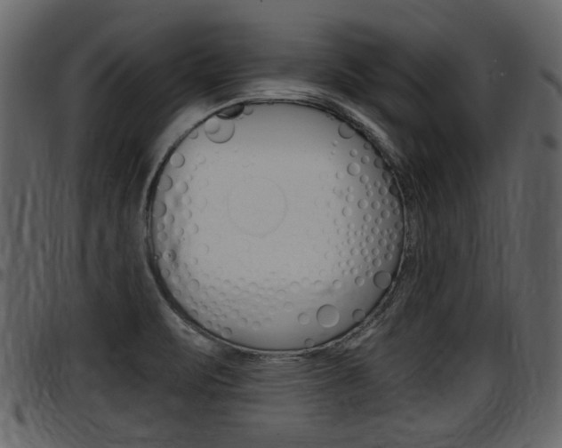 X0000097601471200802290720