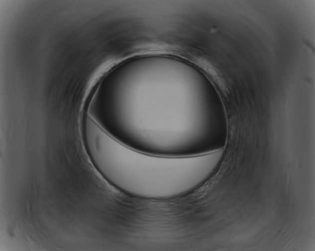 X0000097601472200802290720