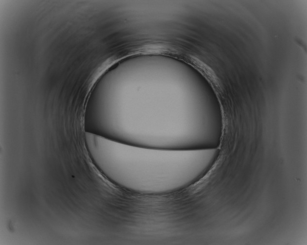 X0000097601473200802290720