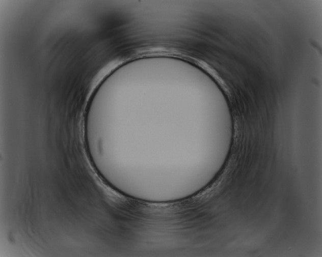 X0000097601474200802290720