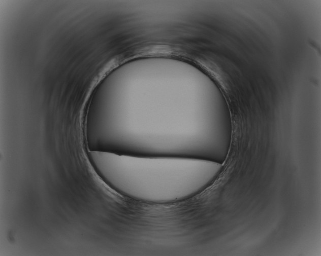 X0000097601475200802290720