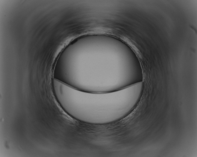 X0000097601477200802290720