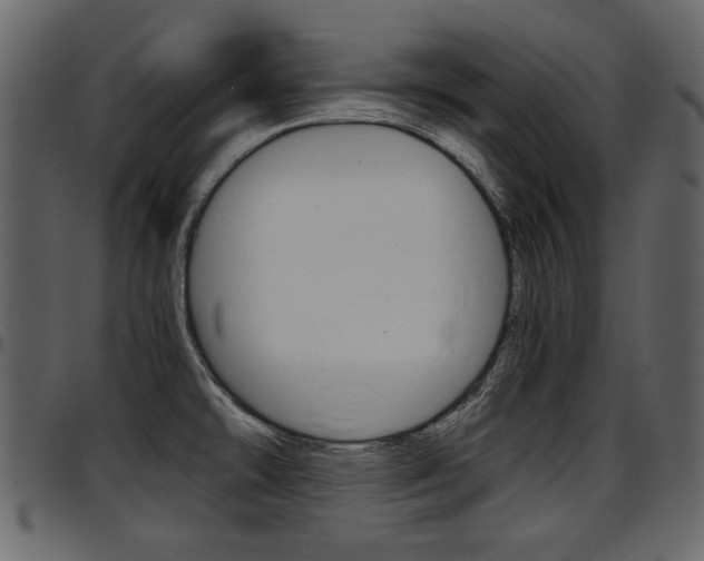 X0000097601478200802290720