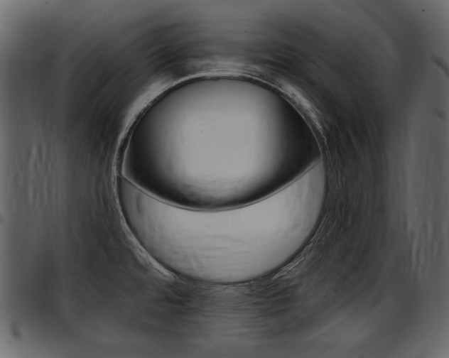 X0000097601480200802290720