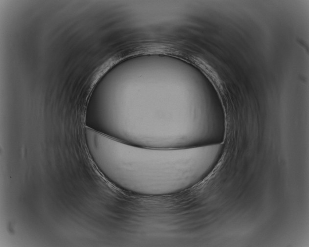 X0000097601481200802290720