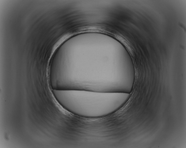 X0000097601482200802290720