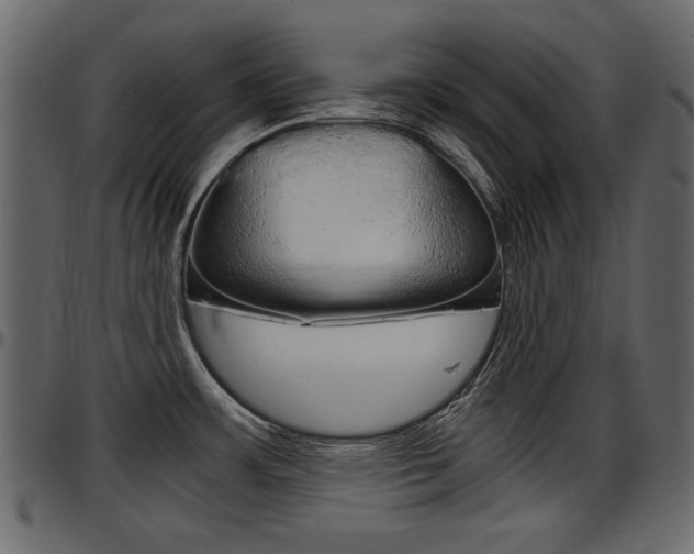 X0000097601483200802290720