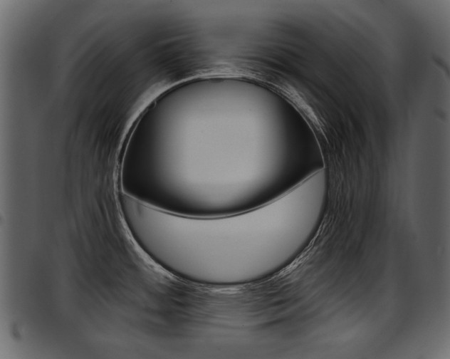 X0000097601484200802290720