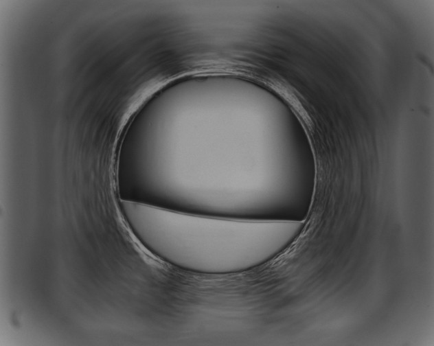X0000097601485200802290720