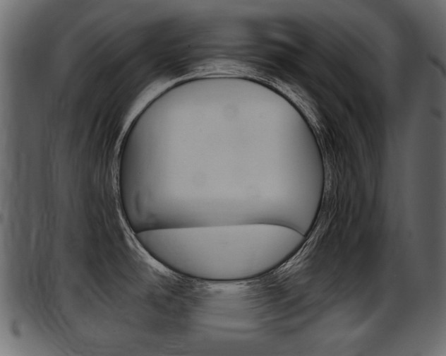 X0000097601486200802290720