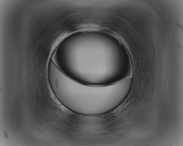 X0000097601488200802290720