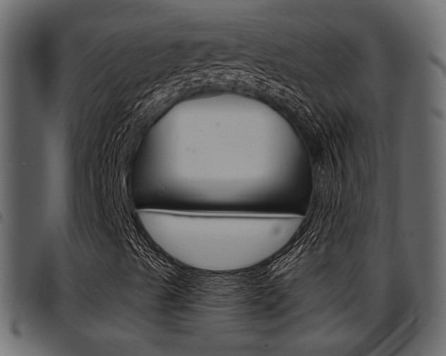X0000097601489200802290719