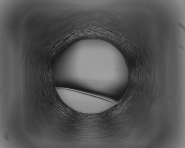 X0000097601490200802290719