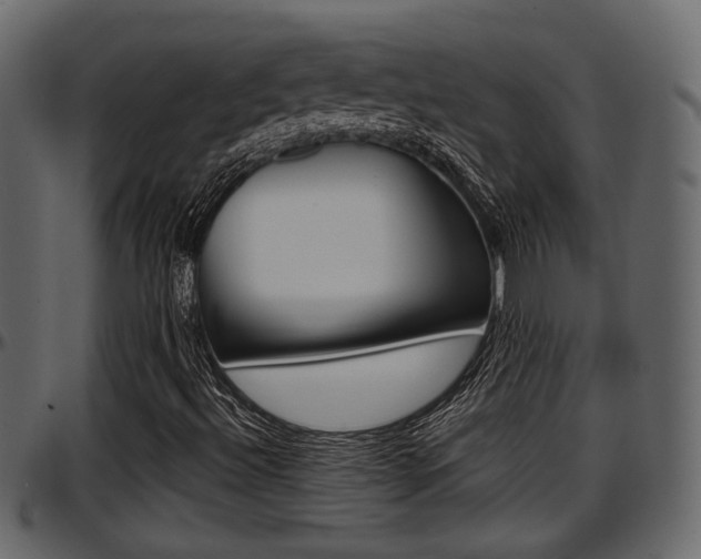 X0000097601492200802290719