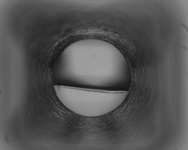 X0000097601493200802290719
