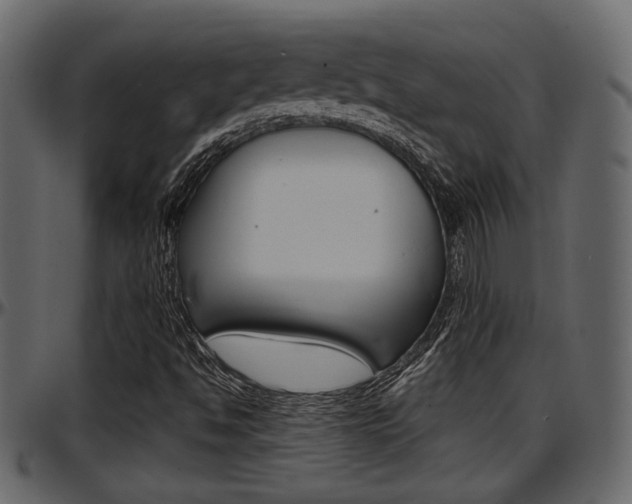X0000097601494200802290719