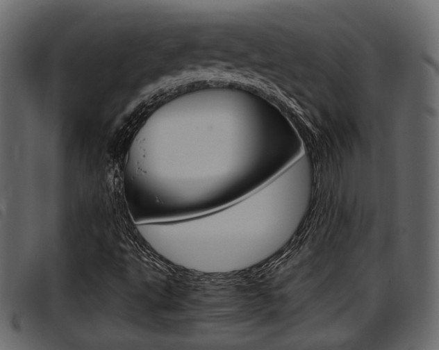 X0000097601495200802290719