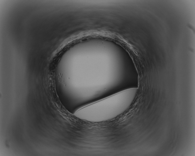 X0000097601496200802290719