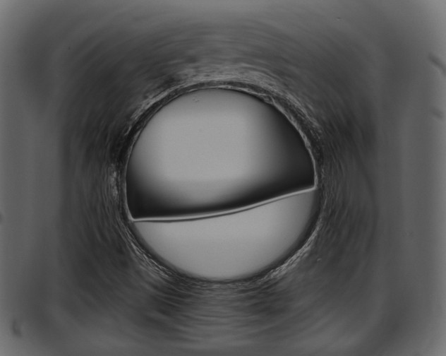X0000097601497200802290719
