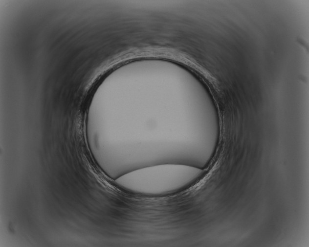 X0000097601498200802290719