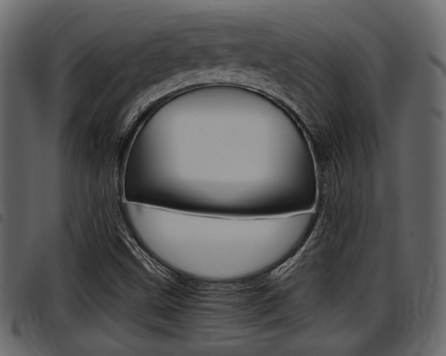 X0000097601499200802290719