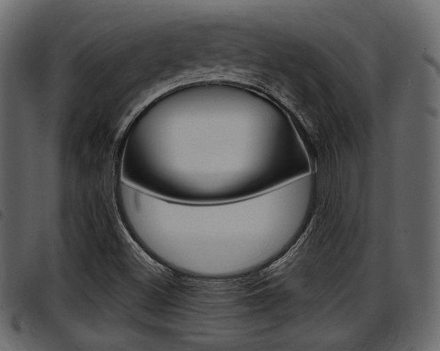 X0000097601500200802290719