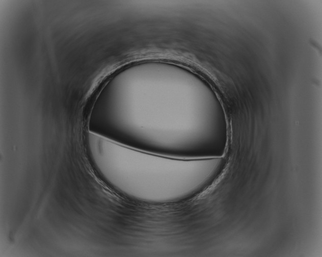 X0000097601501200802290719