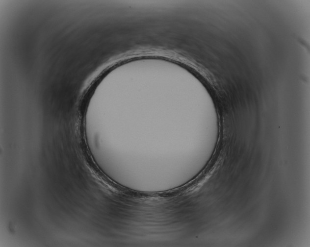 X0000097601502200802290719