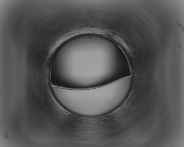 X0000097601504200802290719