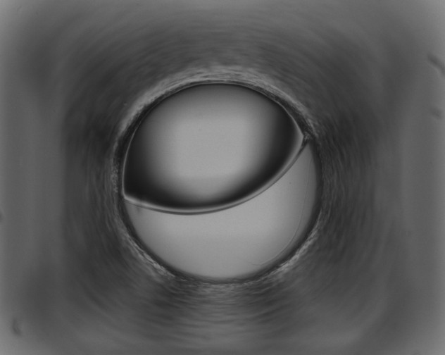 X0000097601506200802290719