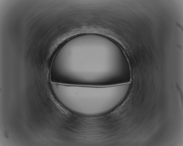X0000097601507200802290719