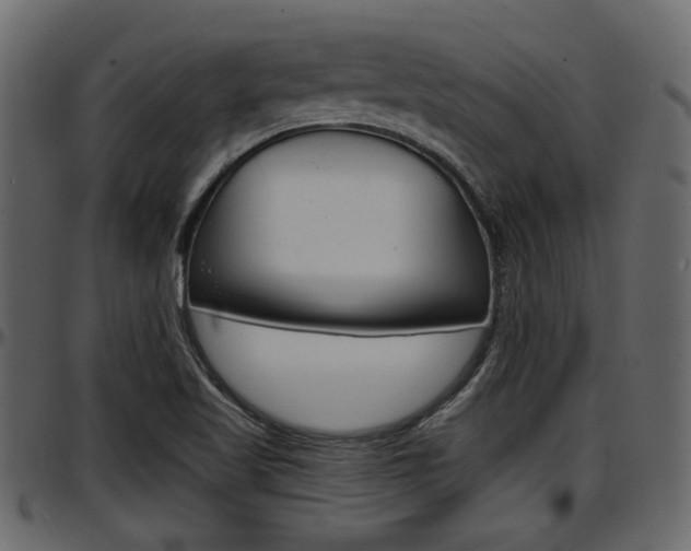 X0000097601509200802290719