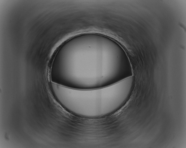 X0000097601510200802290719