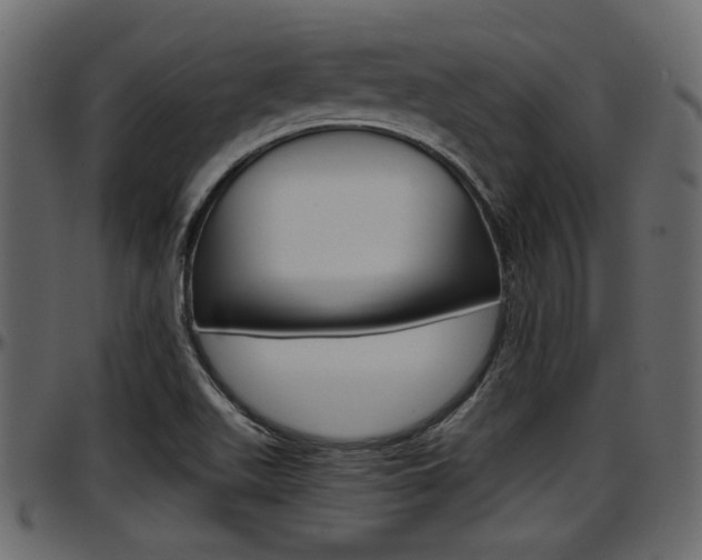 X0000097601511200802290719