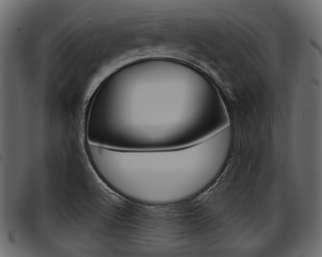 X0000097601512200802290719