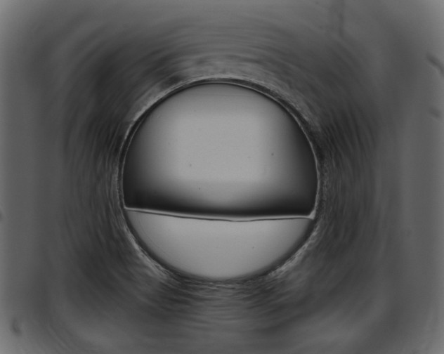 X0000097601513200802290719