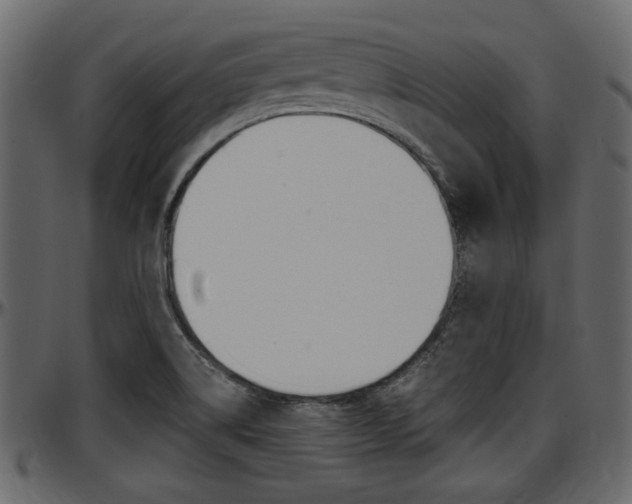 X0000097601514200802290719
