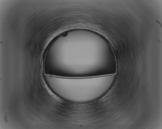 X0000097601515200802290719