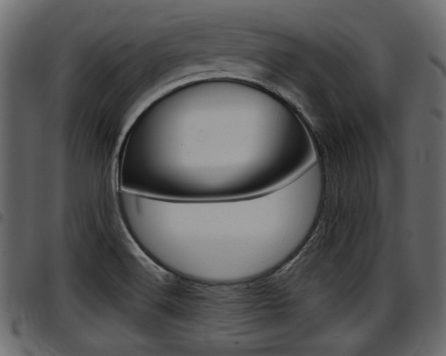 X0000097601516200802290719