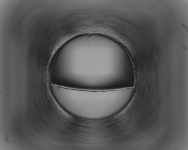 X0000097601517200802290719