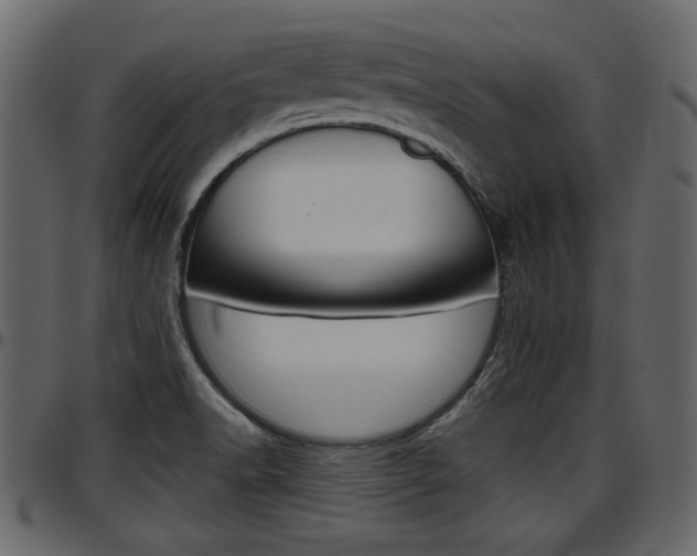 X0000097601518200802290719