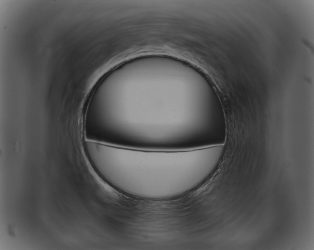 X0000097601519200802290719