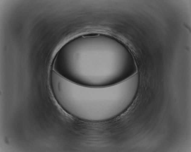 X0000097601520200802290719