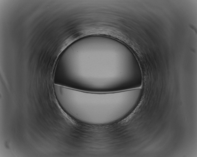 X0000097601521200802290719